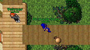 Primady Star on screen