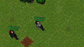 Hycur on screen