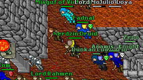 Nerdzin Druid on screen