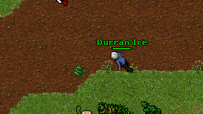 Durran'Ice on screen