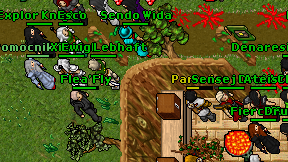 Flea'Fly on screen