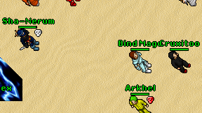 Bind Mage on screen