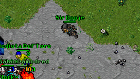 Sir Dopje on screen