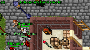 Johanna Stormshield on screen