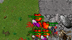 Tidoncius on screen