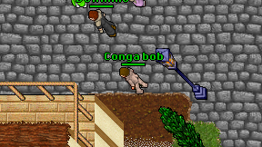 Conga bob on screen