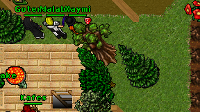 Myth Xzibit on screen