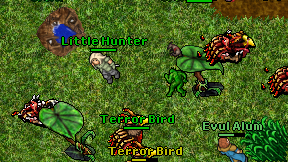 Little Hunter on screen