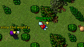 Hupman on screen