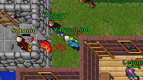 Varior Lion on screen