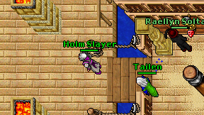 Holm Slayer on screen