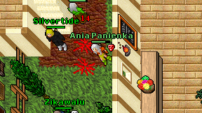 Ania Panienka on screen