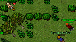 Nickolazh on screen