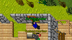 Esteminador on screen