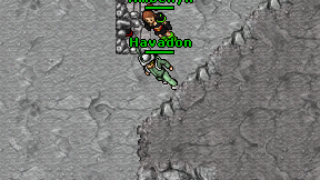 Havadon on screen