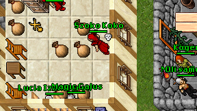 Szoko Koko on screen