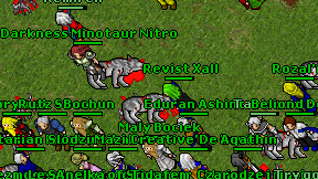 Revist Xall on screen