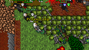 Przeszczep on screen