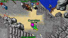 Carolus on screen