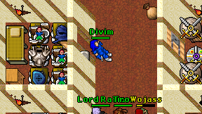 Divim on screen