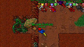 Acom Golan on screen