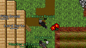 Kobza Druid on screen