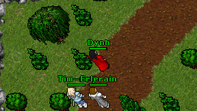 Dynh on screen