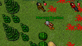 Marcos Rachos on screen