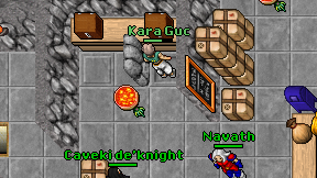 Kara Guc on screen