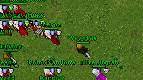 Vezetas on screen
