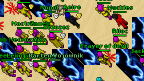 Zapylacz on screen