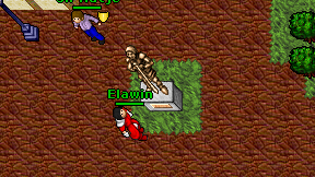 Elawin on screen