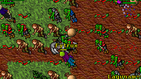 Fytrux on screen