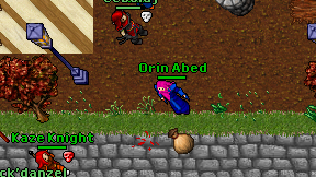 Orin Abed on screen