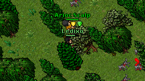 Ledixo on screen