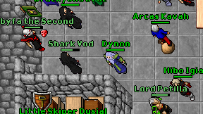 Dynon on screen