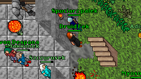 Druid Fek on screen