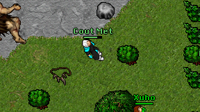 Cout Met on screen