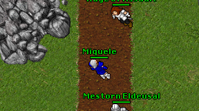 Miquele on screen