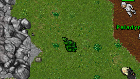 Narokku on screen