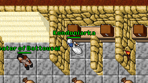 Kondoniarka on screen
