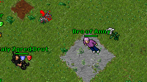 Bro of Anny on screen