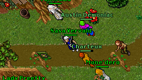 Sasa Vervald on screen
