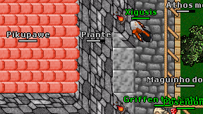 Piante on screen