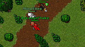 Arkangel'take on screen