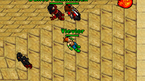Vievior on screen