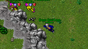 Don Quiton on screen