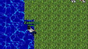 Zakinho on screen