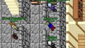 Inscotr on screen