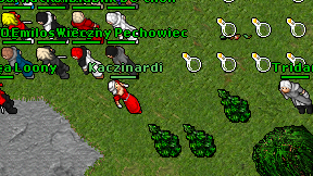 Kaczinardi on screen